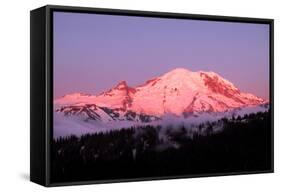 Dawn at Mount Rainier-Douglas Taylor-Framed Stretched Canvas