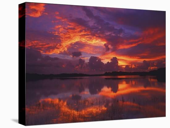 Dawn at Nine Mile Pond, Everglades National Park, Florida, USA-Rob Tilley-Stretched Canvas