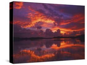 Dawn at Nine Mile Pond, Everglades National Park, Florida, USA-Rob Tilley-Stretched Canvas