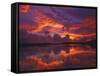 Dawn at Nine Mile Pond, Everglades National Park, Florida, USA-Rob Tilley-Framed Stretched Canvas