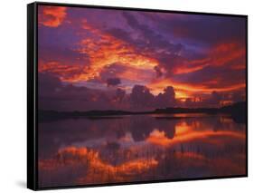 Dawn at Nine Mile Pond, Everglades National Park, Florida, USA-Rob Tilley-Framed Stretched Canvas