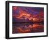 Dawn at Nine Mile Pond, Everglades National Park, Florida, USA-Rob Tilley-Framed Photographic Print