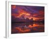 Dawn at Nine Mile Pond, Everglades National Park, Florida, USA-Rob Tilley-Framed Photographic Print