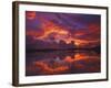 Dawn at Nine Mile Pond, Everglades National Park, Florida, USA-Rob Tilley-Framed Photographic Print