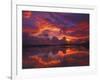 Dawn at Nine Mile Pond, Everglades National Park, Florida, USA-Rob Tilley-Framed Photographic Print