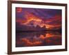 Dawn at Nine Mile Pond, Everglades National Park, Florida, USA-Rob Tilley-Framed Photographic Print