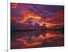 Dawn at Nine Mile Pond, Everglades National Park, Florida, USA-Rob Tilley-Framed Photographic Print