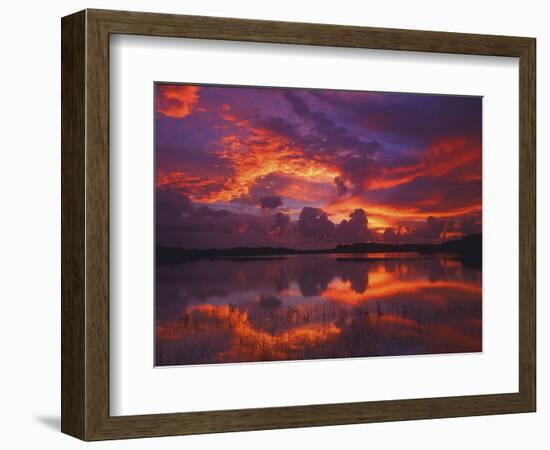 Dawn at Nine Mile Pond, Everglades National Park, Florida, USA-Rob Tilley-Framed Photographic Print