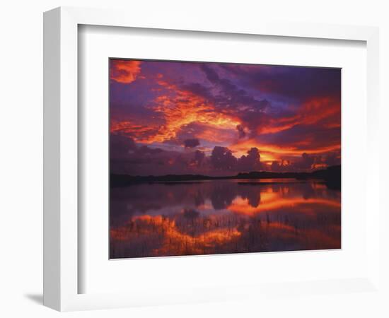 Dawn at Nine Mile Pond, Everglades National Park, Florida, USA-Rob Tilley-Framed Photographic Print