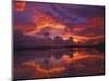 Dawn at Nine Mile Pond, Everglades National Park, Florida, USA-Rob Tilley-Mounted Photographic Print