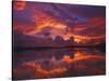 Dawn at Nine Mile Pond, Everglades National Park, Florida, USA-Rob Tilley-Stretched Canvas