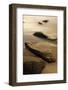 Dawn at Sand Beach in Maine's Acadia National Park-Jerry & Marcy Monkman-Framed Photographic Print