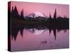 Dawn at Tipsoo Lake, Mt. Rainier National Park, Washington, USA-Charles Gurche-Stretched Canvas