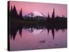 Dawn at Tipsoo Lake, Mt. Rainier National Park, Washington, USA-Charles Gurche-Stretched Canvas