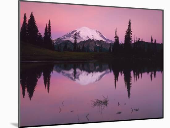Dawn at Tipsoo Lake, Mt. Rainier National Park, Washington, USA-Charles Gurche-Mounted Premium Photographic Print
