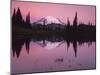 Dawn at Tipsoo Lake, Mt. Rainier National Park, Washington, USA-Charles Gurche-Mounted Photographic Print