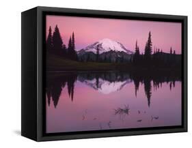 Dawn at Tipsoo Lake, Mt. Rainier National Park, Washington, USA-Charles Gurche-Framed Stretched Canvas