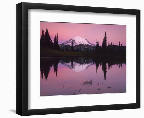 Dawn at Tipsoo Lake, Mt. Rainier National Park, Washington, USA-Charles Gurche-Framed Photographic Print