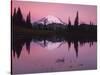 Dawn at Tipsoo Lake, Mt. Rainier National Park, Washington, USA-Charles Gurche-Stretched Canvas