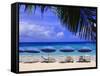 Dawn Beach, St. Martin, Netherlands Antilles, Caribbean-Michael DeFreitas-Framed Stretched Canvas