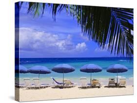 Dawn Beach, St. Martin, Netherlands Antilles, Caribbean-Michael DeFreitas-Stretched Canvas