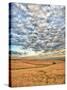 Dawn Breaks on Wheat Field, Walla Walla, Washington, USA-Richard Duval-Stretched Canvas