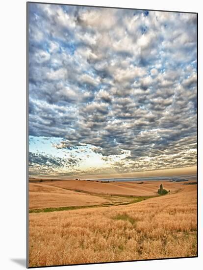 Dawn Breaks on Wheat Field, Walla Walla, Washington, USA-Richard Duval-Mounted Premium Photographic Print