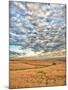 Dawn Breaks on Wheat Field, Walla Walla, Washington, USA-Richard Duval-Mounted Premium Photographic Print