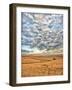 Dawn Breaks on Wheat Field, Walla Walla, Washington, USA-Richard Duval-Framed Photographic Print