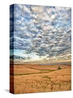 Dawn Breaks on Wheat Field, Walla Walla, Washington, USA-Richard Duval-Stretched Canvas