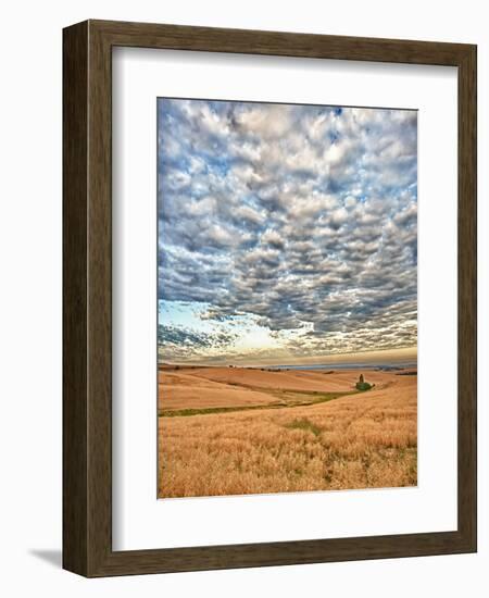 Dawn Breaks on Wheat Field, Walla Walla, Washington, USA-Richard Duval-Framed Photographic Print