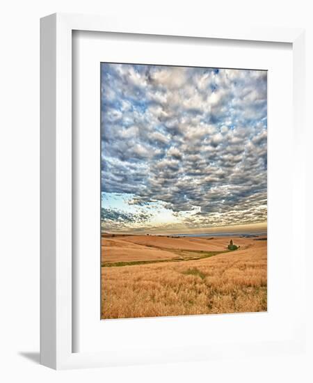 Dawn Breaks on Wheat Field, Walla Walla, Washington, USA-Richard Duval-Framed Photographic Print