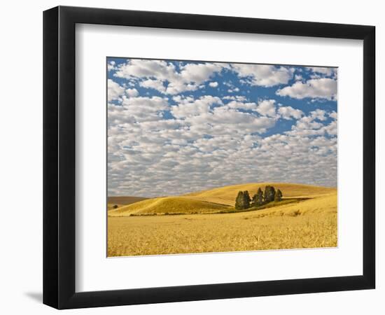 Dawn Breaks on Wheat Field, Walla Walla, Washington, USA-Richard Duval-Framed Photographic Print