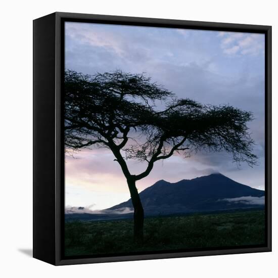 Dawn Breaks over Mount Meru, Tanzania-Nigel Pavitt-Framed Stretched Canvas