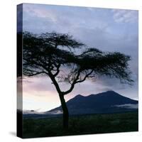 Dawn Breaks over Mount Meru, Tanzania-Nigel Pavitt-Stretched Canvas