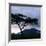 Dawn Breaks over Mount Meru, Tanzania-Nigel Pavitt-Framed Photographic Print