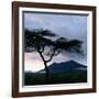 Dawn Breaks over Mount Meru, Tanzania-Nigel Pavitt-Framed Photographic Print