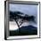 Dawn Breaks over Mount Meru, Tanzania-Nigel Pavitt-Framed Photographic Print