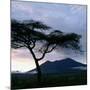 Dawn Breaks over Mount Meru, Tanzania-Nigel Pavitt-Mounted Photographic Print