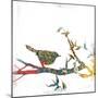 Dawn Chorus I-Ken Hurd-Mounted Art Print