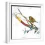 Dawn Chorus II-Ken Hurd-Framed Art Print