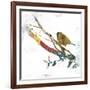 Dawn Chorus II-Ken Hurd-Framed Giclee Print