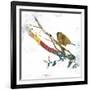 Dawn Chorus II-Ken Hurd-Framed Giclee Print