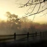 Walking on the Edge of Winter-Dawn D^ Hanna-Photographic Print