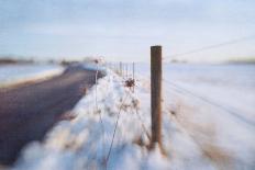 Biking on Ocracoke-Dawn D^ Hanna-Photographic Print