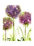 Alliums-Dawn Derman-Art Print