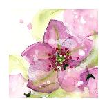 Pink Wildflower-Dawn Derman-Framed Art Print