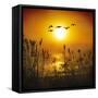 Dawn Flight-Adrian Campfield-Framed Stretched Canvas