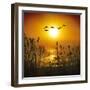 Dawn Flight-Adrian Campfield-Framed Photographic Print