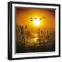 Dawn Flight-Adrian Campfield-Framed Photographic Print